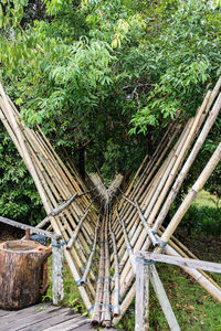 High angle view of wooden structure in forest