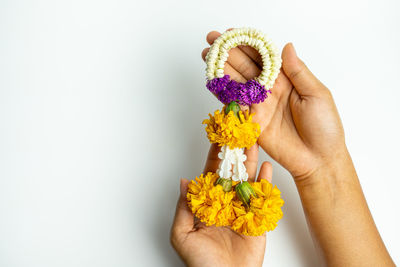 Close-up of hand holding yellow rose against white background