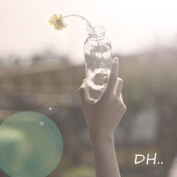 Close-up of hand holding glass of water