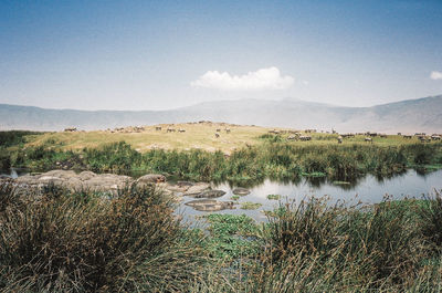 Scenic view of river against sky