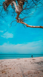 Scenic view of beach against blue sky