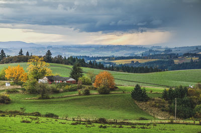 Scenic view of field against sky
