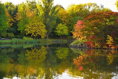 Scenic view of lake by trees during autumn