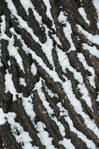 Full frame shot of snow covered field