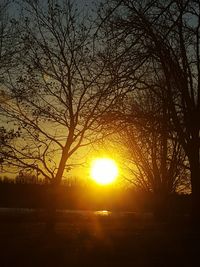 Silhouette trees against sky during sunset