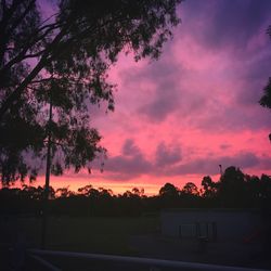 Scenic view of landscape at sunset