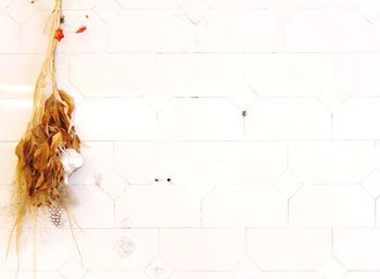 High angle view of tiled floor