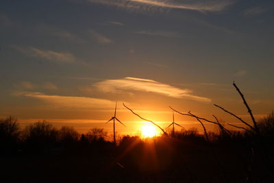 Silhouette plants on field against sky during sunset