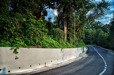 Road amidst trees against sky