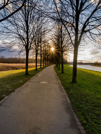 Road amidst bare trees against sky