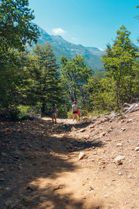 Rear view of people walking on mountain in forest