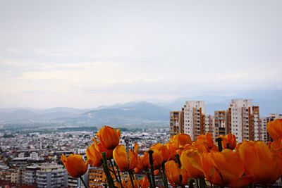 Cityscape against cloudy sky