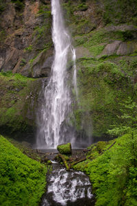 View of waterfall in forest