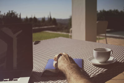 Close-up of hand holding coffee cup against sky