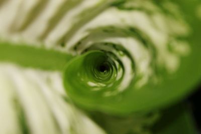 Full frame shot of water drop on leaf