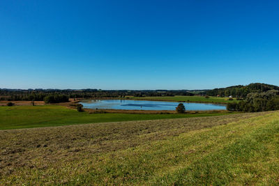 Scenic view of field against clear blue sky