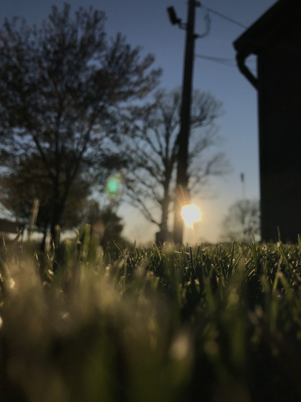 tree, plant, light, sunlight, nature, reflection, branch, sky, no people, darkness, illuminated, outdoors, lighting, morning, beauty in nature, growth, tranquility, architecture, low angle view, winter