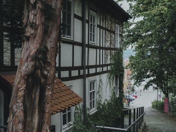 Low angle view of trees by building