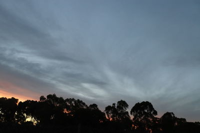 Low angle view of silhouette trees against sky during sunset