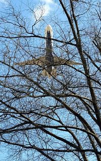 Low angle view of bare trees against blue sky