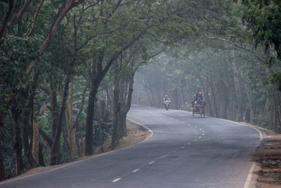 People on road amidst trees