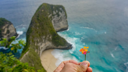 Cropped hand of person holding flower against sea