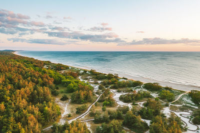 Aerial view of trees by sea against sky