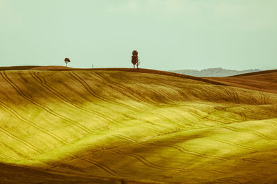 Scenic view of landscape against clear sky