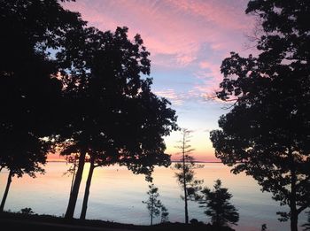 Silhouette of trees at sunset