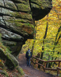 Rear view of adult man walking under sandstone rock formation in bohemian switzerland, czech rep 