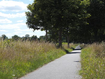 Road amidst trees on field against sky