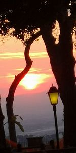 Silhouette man standing by tree against orange sky