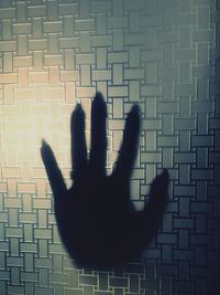 Shadow of person hand on wall