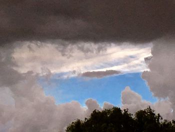 Low angle view of trees against sky