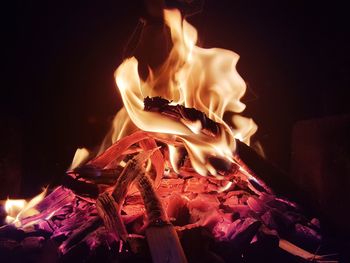 Close-up of burning fire