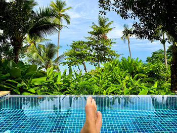 Low section of person legs in swimming pool