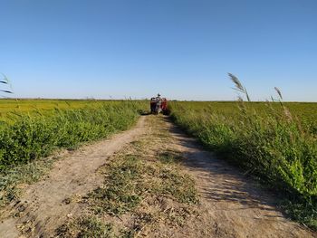 Rear view of people walking on road amidst field against clear sky