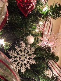 View of flowers in the dark