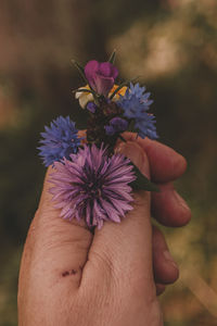 Close-up of hand holding purple flower