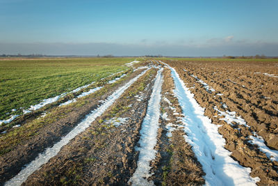 Scenic view of agricultural field against sky during winter