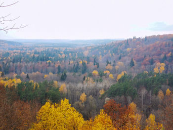 Scenic view of autumn trees against sky