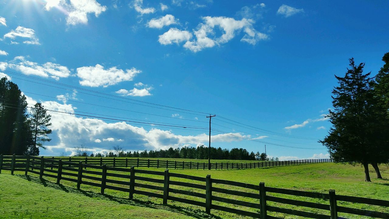 sky, fence, field, grass, landscape, cloud - sky, tranquil scene, tranquility, tree, grassy, nature, cloud, scenics, blue, green color, beauty in nature, rural scene, growth, cloudy, protection