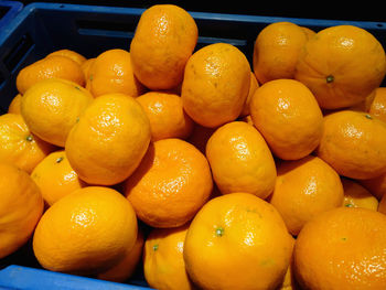 Close-up of oranges