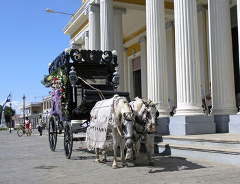 Horse cart in building