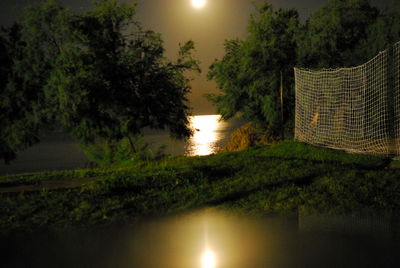 Reflection of trees in river