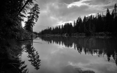 Scenic view of lake in forest against sky