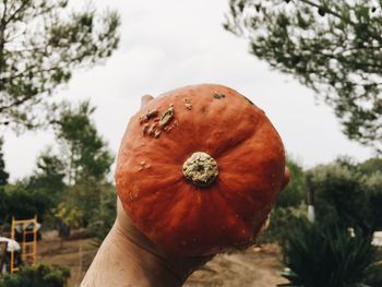 Close-up of hand holding pumpkin against sky