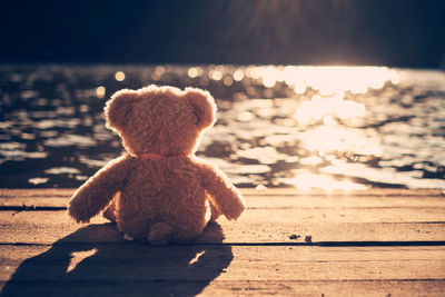 Teddy bear on pier over lake during sunny day