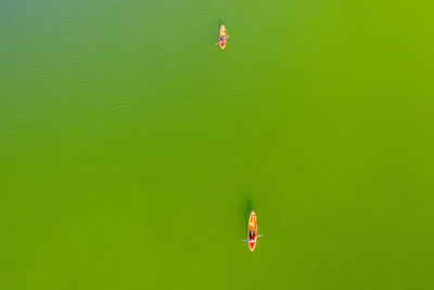 Canoe paddling on vransko lake nature park, croatia