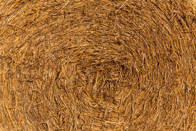 Full frame shot of hay